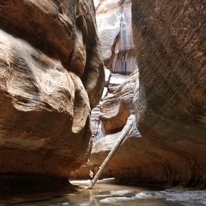 Meet your Posher, Trevor